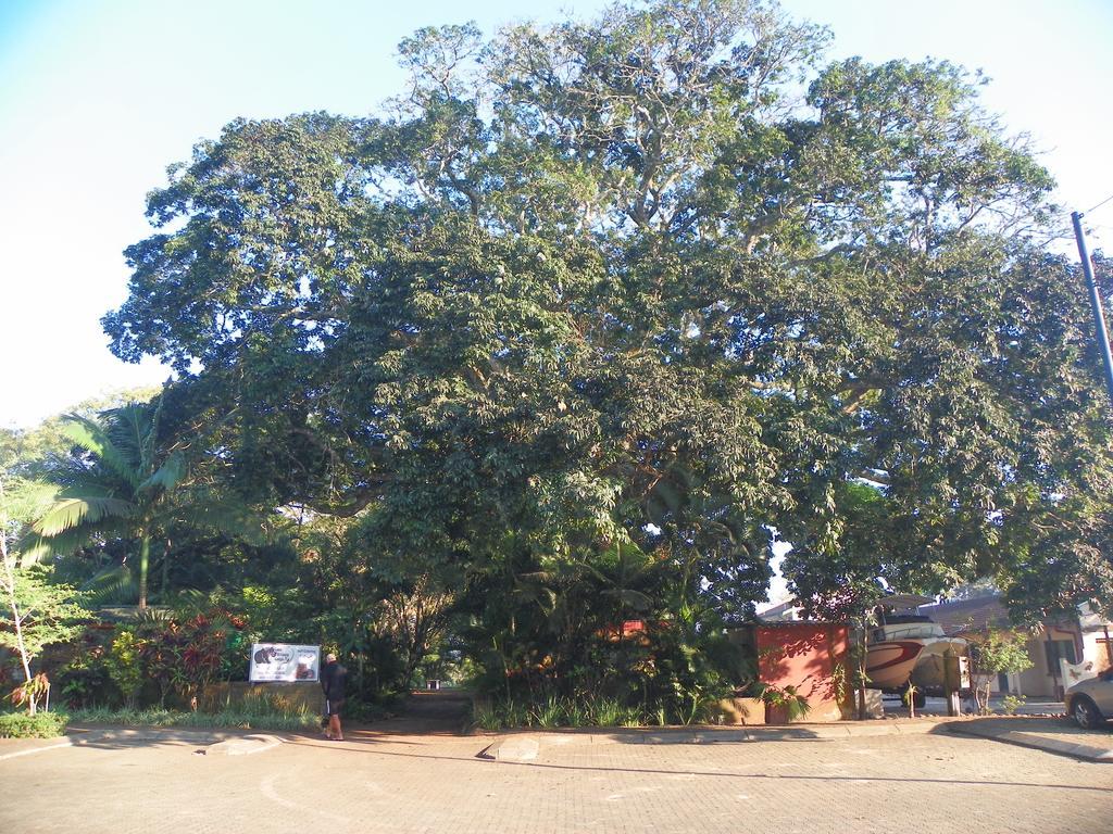 Lake St Lucia Lodge Exterior foto